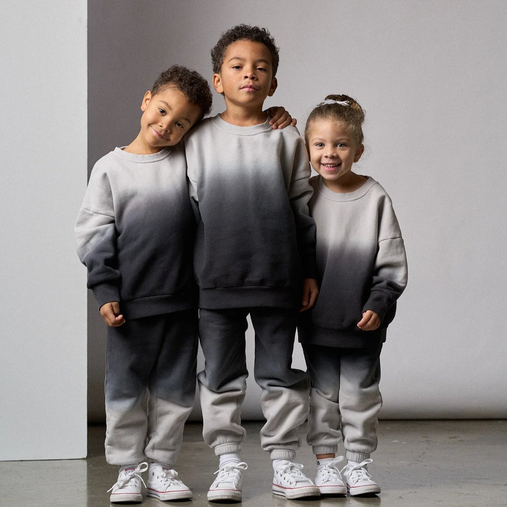 Ombre Elevated Crewneck