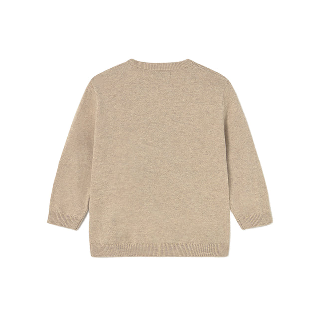 Baby Boy Dog Sweater