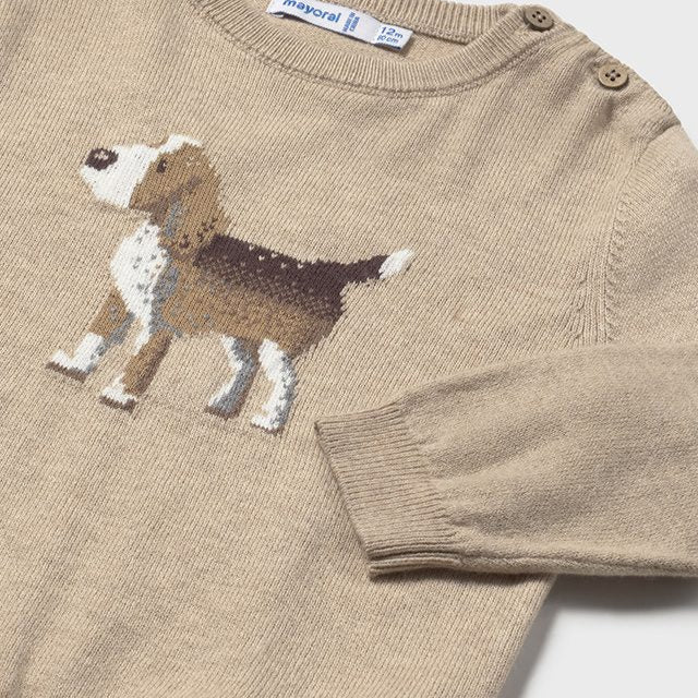 Baby Boy Dog Sweater