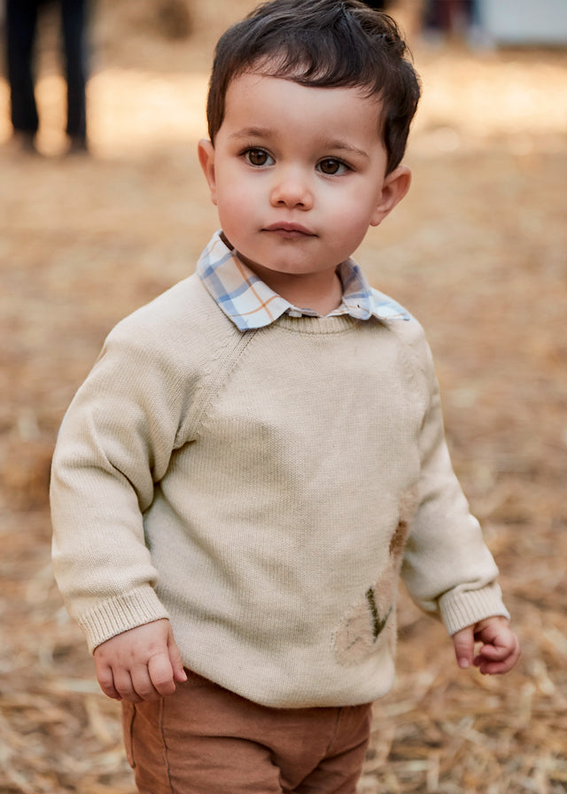 Pony Intarsia Sweater