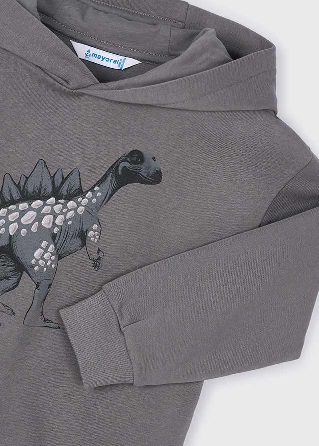 Dino Hooded Sweatshirt
