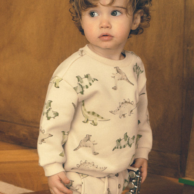 Dino Friends Pullover
