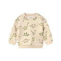 Dino Friends Pullover