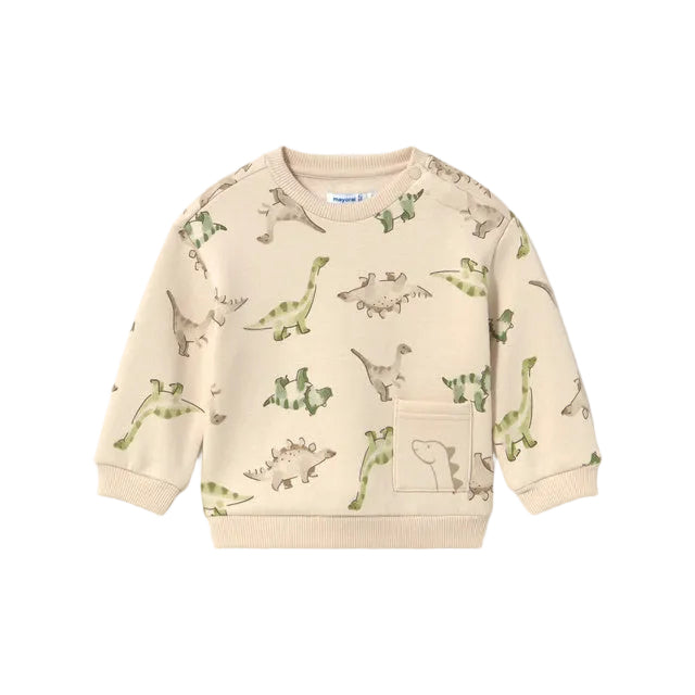 Dino Friends Pullover