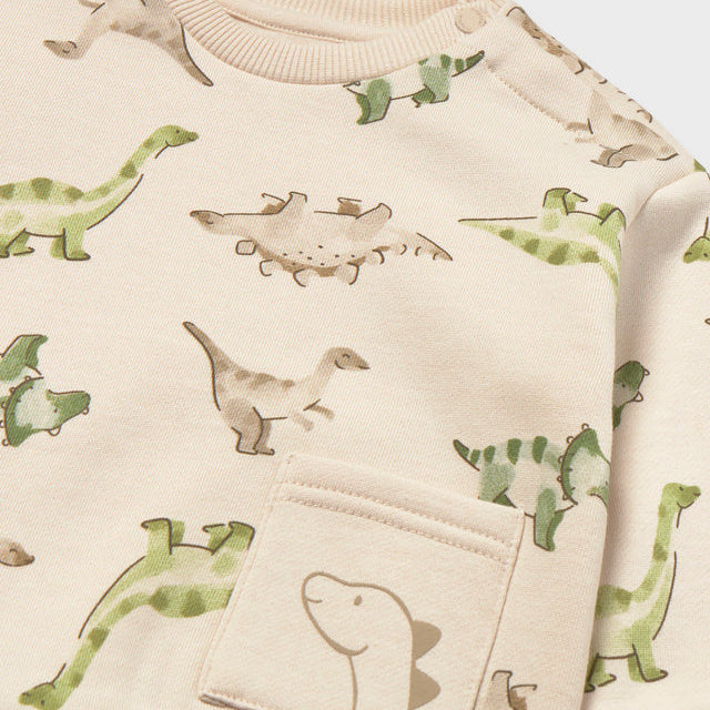 Dino Friends Pullover