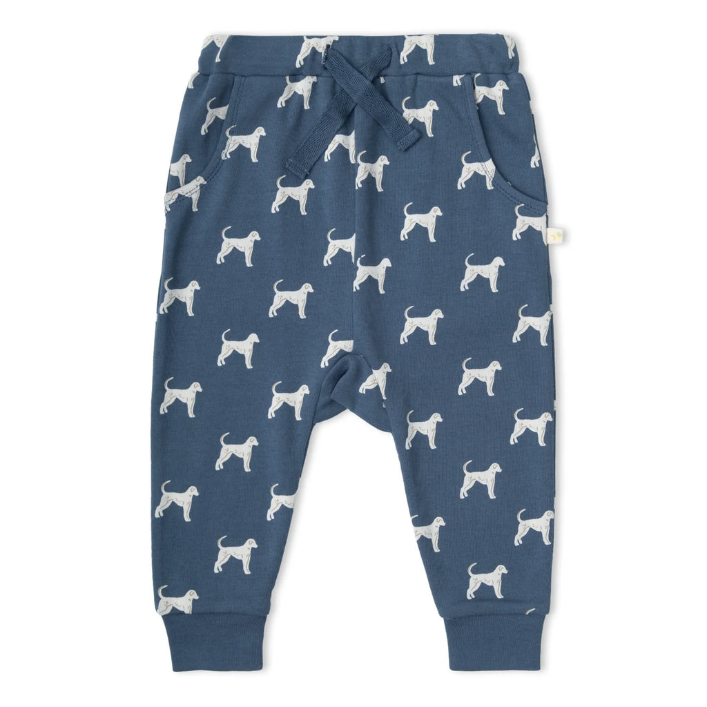 Dog Tee & Pants Set