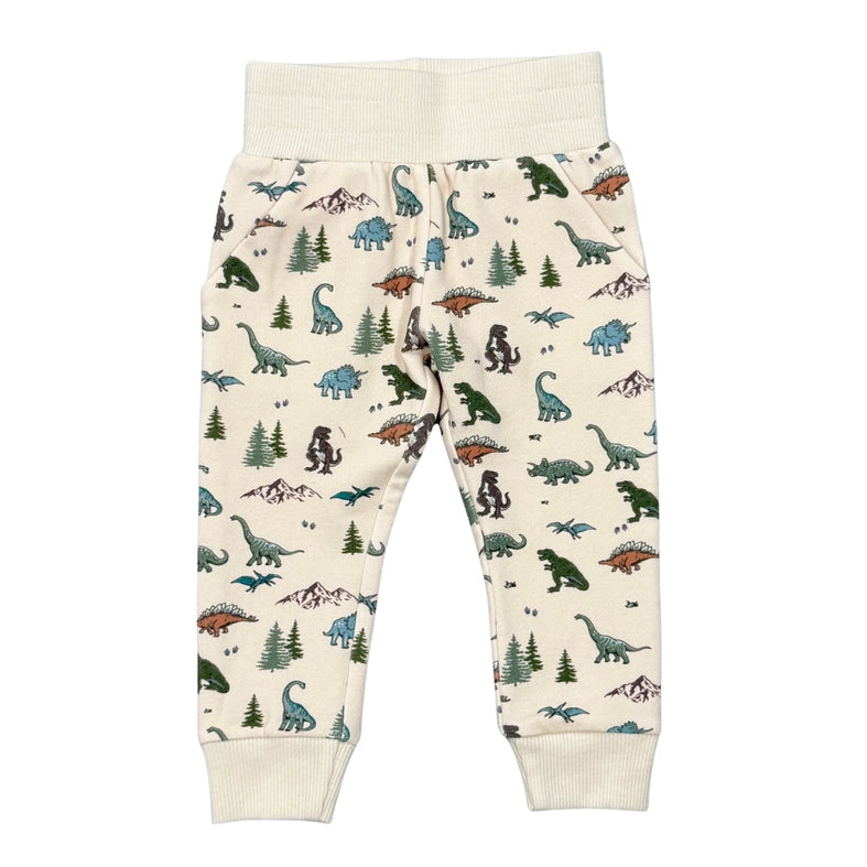 Dino Land Sweatpants