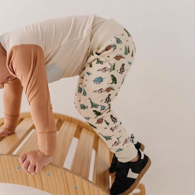Dino Land Sweatpants