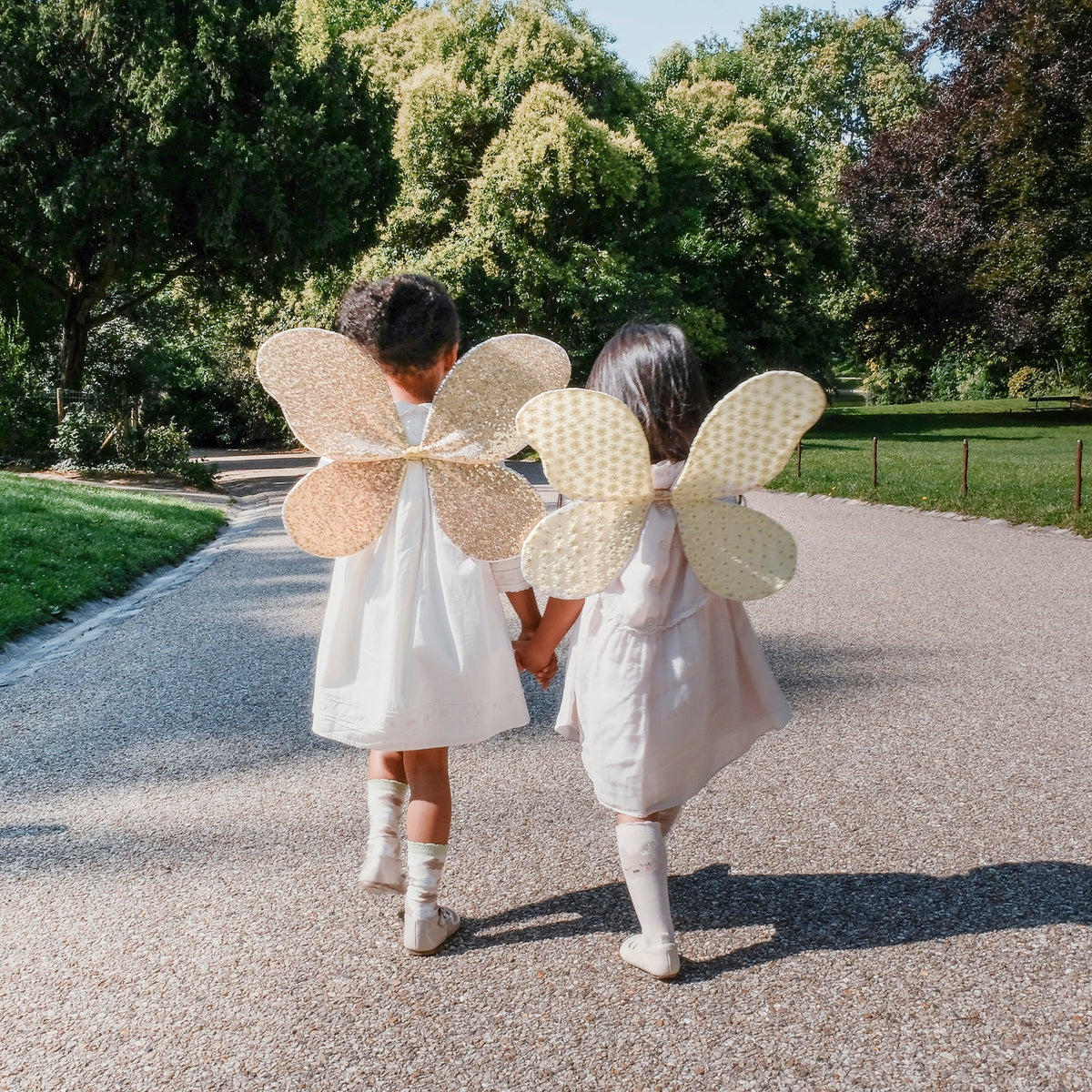 Fairy Wings