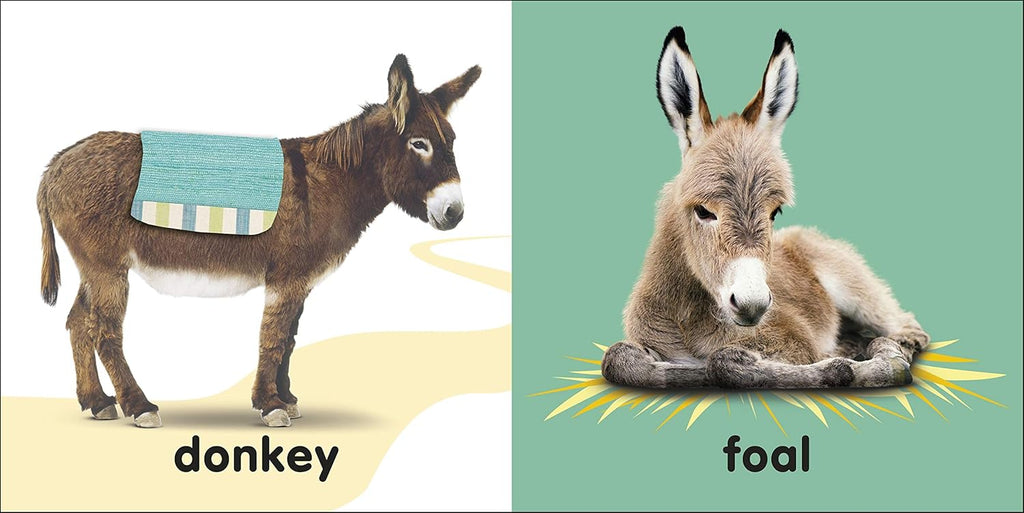 Touch and Feel Bible Animals