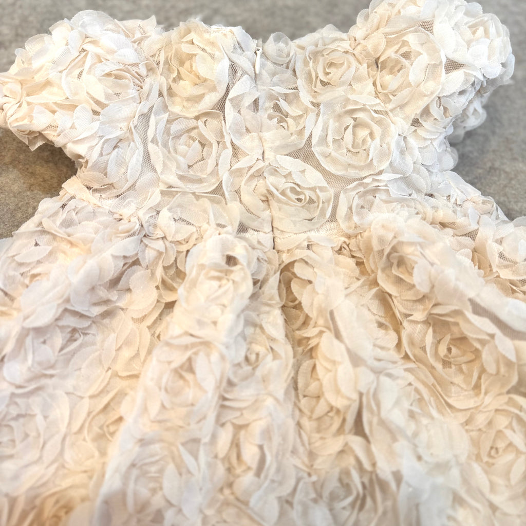 Rose Petal Dress
