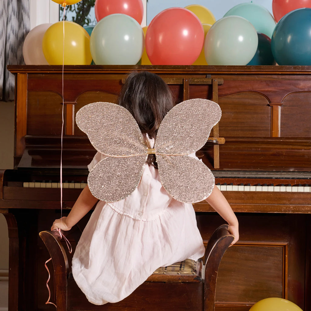 Fairy Wings