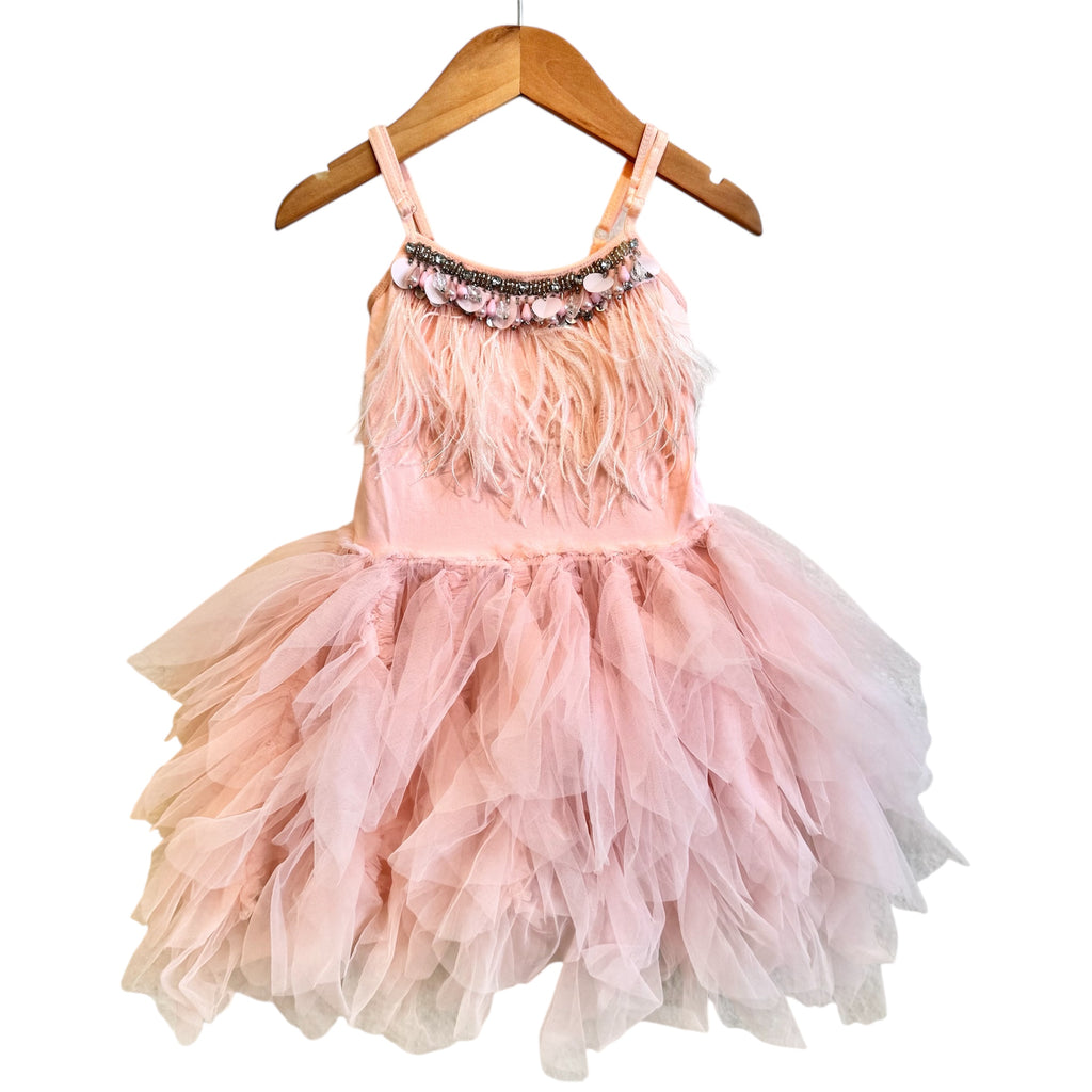 Paris Tutu Dress