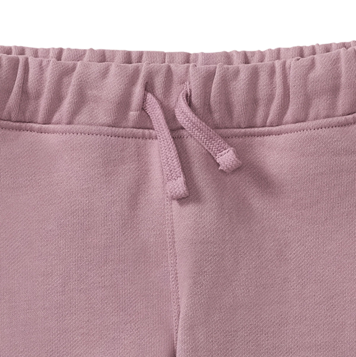 Elderberry Fleece Jogger