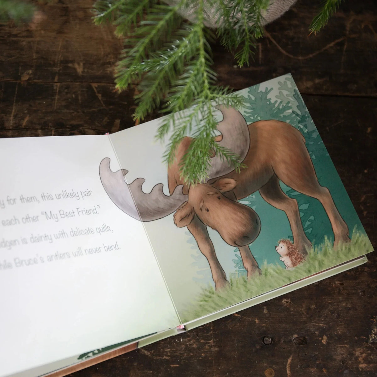 Smidgen & Bruce A Big Friendship Board Book | Pipsqueaks Boutique