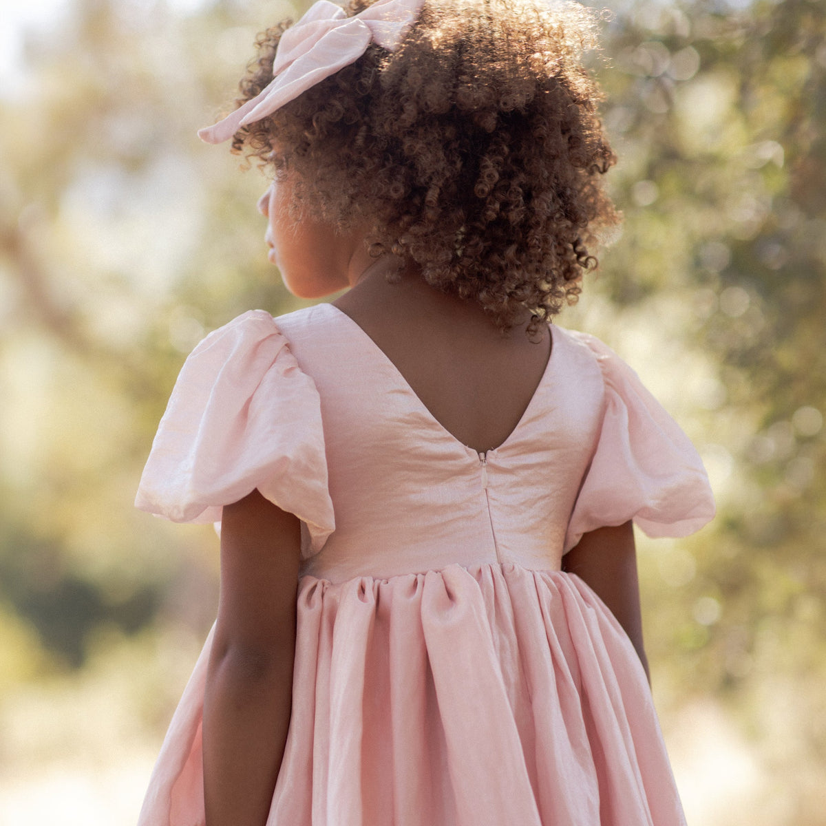Rose Shimmer Sofia Dress