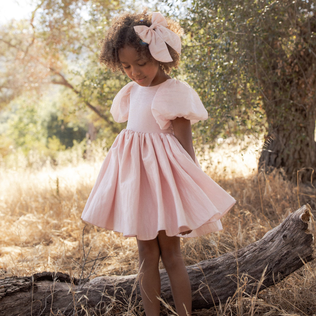 Rose Shimmer Sofia Dress