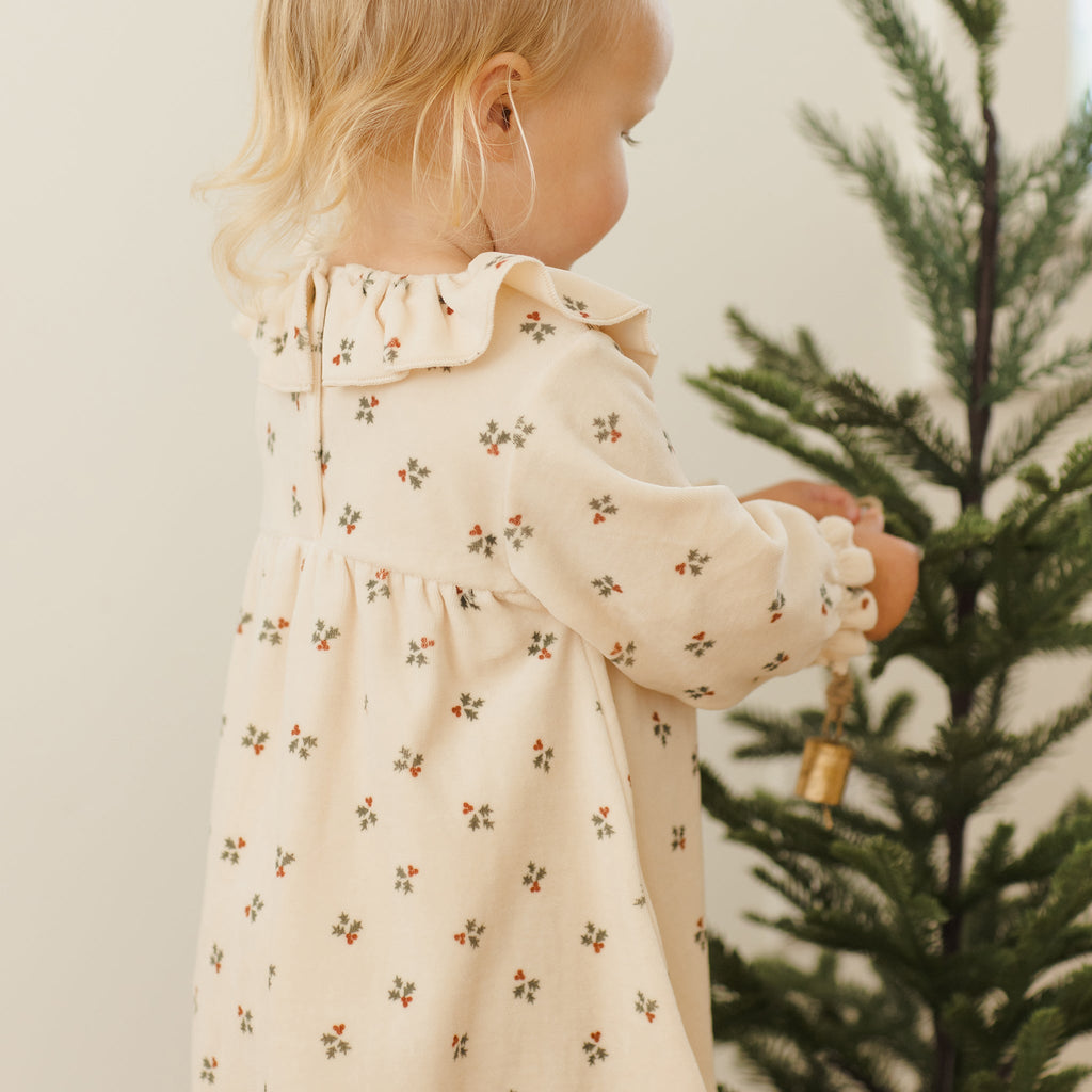 Holly Berry Velour Dress