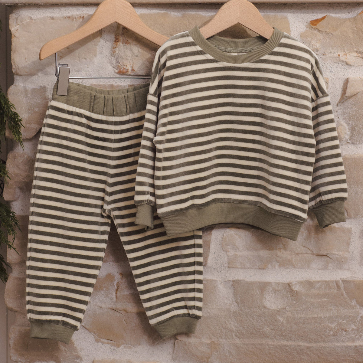 Spruce Stripe Velour Sweatshirt