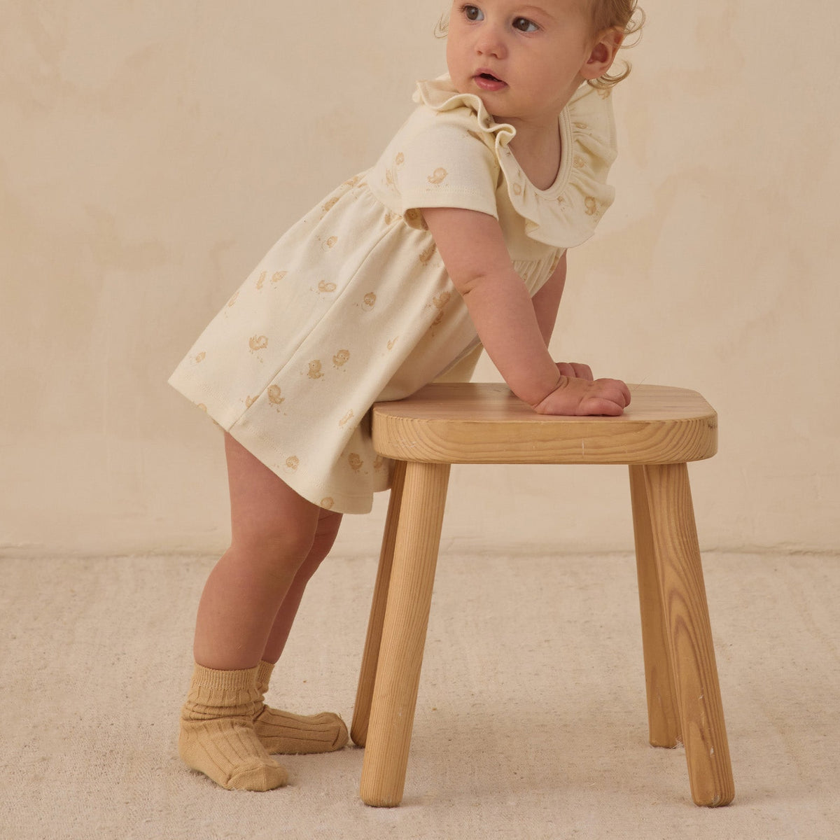 Mauve & Butterscotch Sock Set