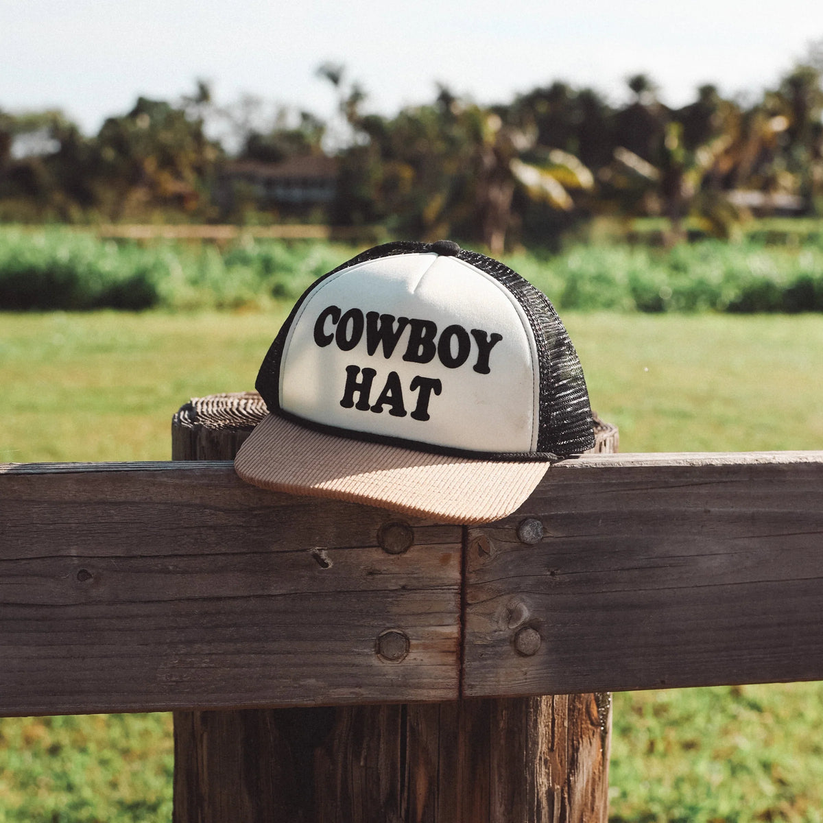 Tan 'Cowboy Hat' Hat