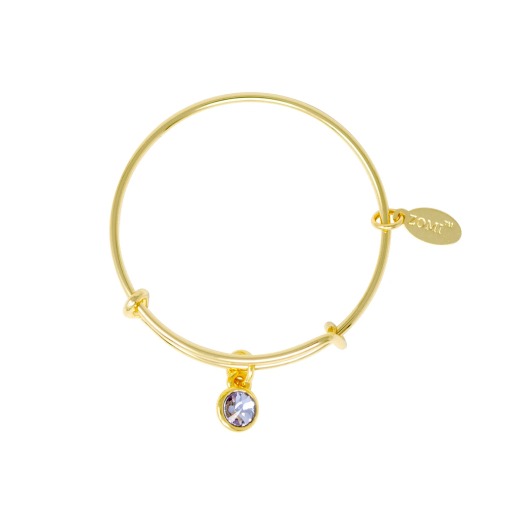 Birthstone Bangle Bracelet