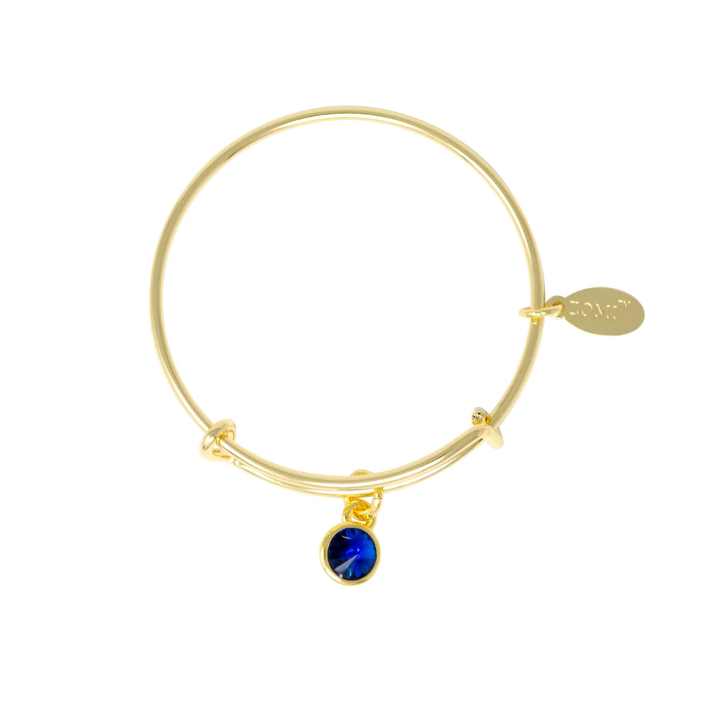 Birthstone Bangle Bracelet