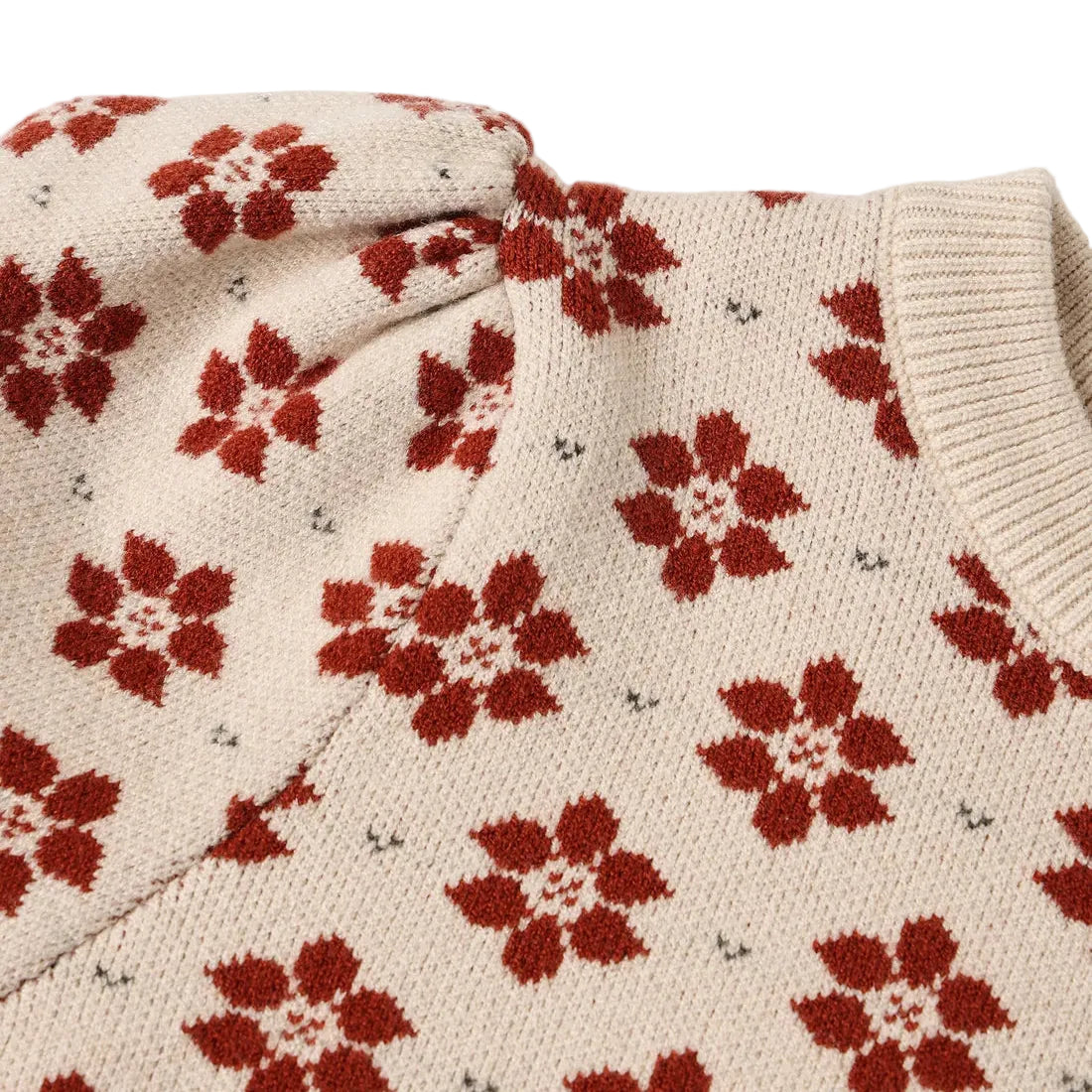 Poinsettia Knit Set