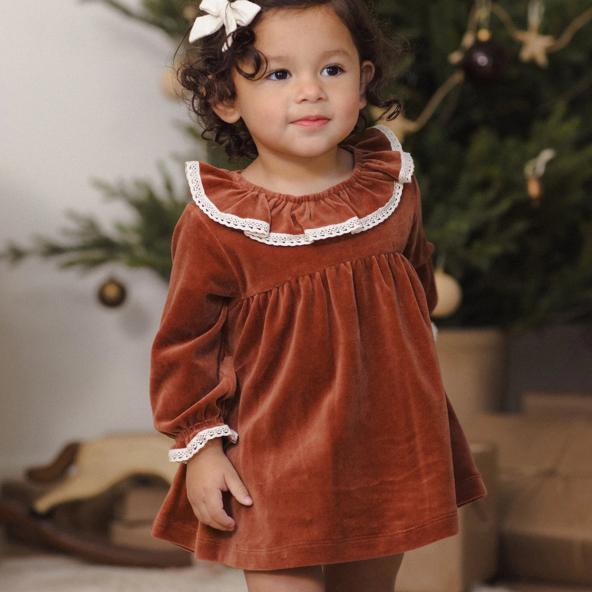 Redwood Velour Dress