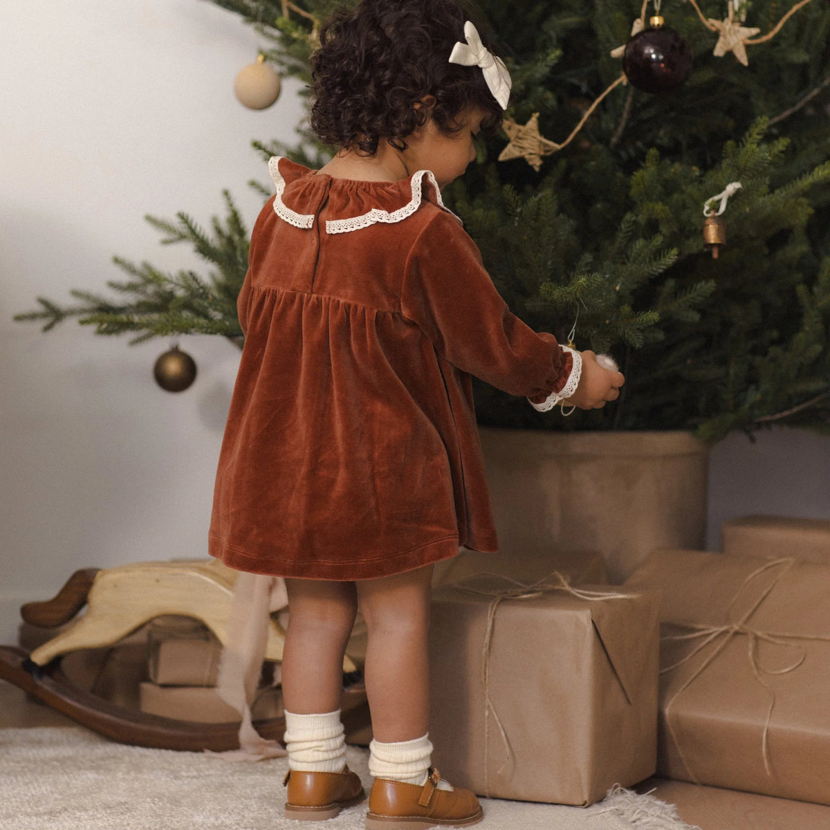 Redwood Velour Dress