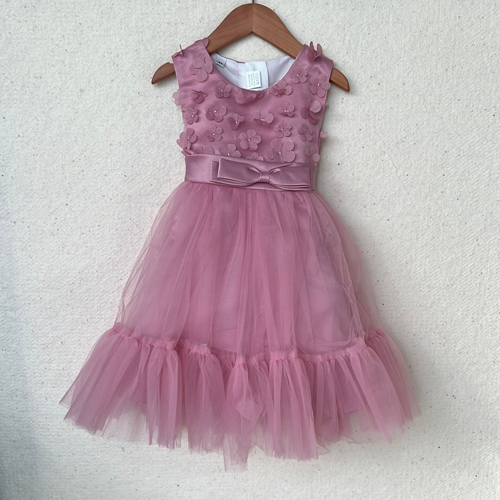 Rose Petal Tulle Dress